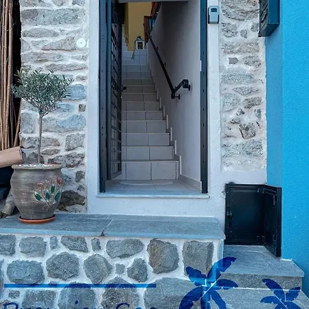 Carnagio Season קאבאלה